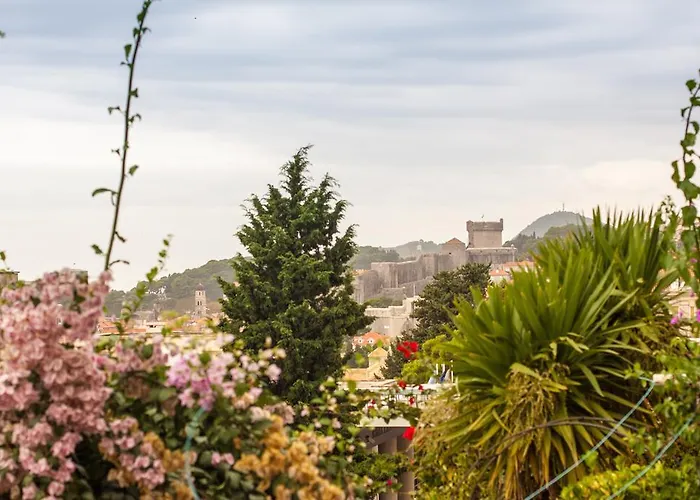 公寓 通风公寓 *