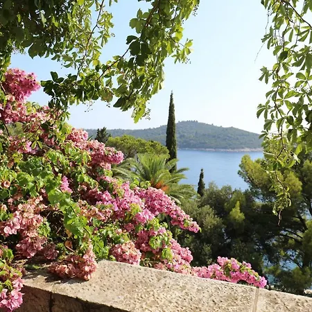 Lägenhet Vent Dubrovnik